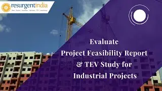 Evaluate Project Feasibility Report for Industrial Projects.