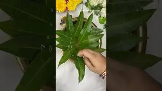 🍃Mango Leaf urli Decoration ideas || Floating flower decoration ideas #shorts #trending #urli