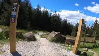 Gisburn Forest - Hully Gully - Black Run Section (On a sunny day?!?!)