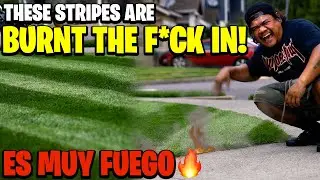BURN YOUR LAWN STRIPES IN! You gotta see the striping on this Kentucky Blue Grass FUEGO MY DUDES 🥵🔥
