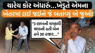 સાવરકુંડલાના આંબરડી ગામમાં ખેડૂતો રાત્રે પણ કામ કરે છે! સિંહનો ડર તોય ખેતરમાં રહે!