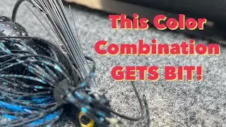 Throw this JIG and TRAILER color Combo? | It Gets BIT!