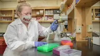 MSU CVM Virtual Tour 3 of 10: Student Resources and Opportunities