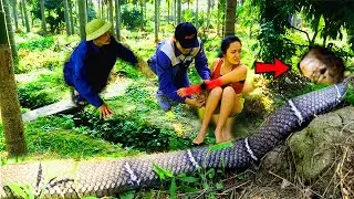 BRAVE Expert Confront Dangerous VENOMOUS snake Attacks a Young Girl