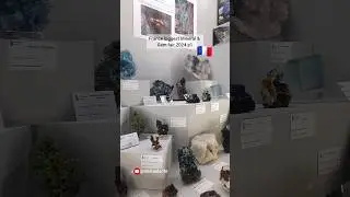 France minerals, fossils, gemstones & jewelry fair '24 #minerals #rock #fossil #gemstone #crystals