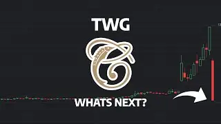 What's Next? - TWG Stock Price Prediction - TWG Stock Analysis | Top Wealth Group Holding Stock