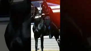 Girl Horse Riding || Horse Lover || Horse Race #shorts #horserace