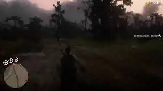 BowserKiller97's Live Red Dead Online