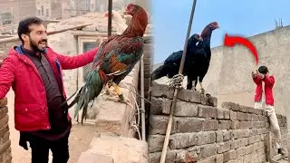 Bunty ko Aj Tiger K Ghar Ka Visit Krwaya 😁
