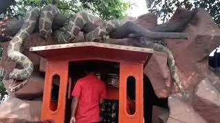 Amazing Zuzu Train Ride of Fantasy Kingdom!!!
