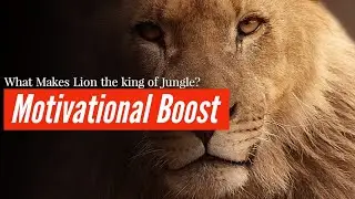 The heart of a Lion - MOTIVATIONAL BOOST | Above Optimism
