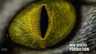 New Species Formation: Exploring Evolutionary Biology