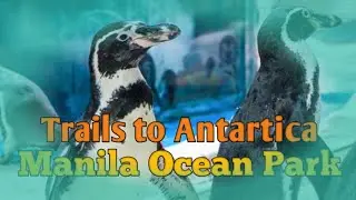 Trails to Antartica Manila Ocean Park #manilaoceanpark #penguin