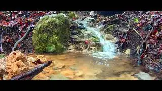 CREEK || Relaxing Music - Relaxing Sounds | Relaxing Sounds of Flowing Water