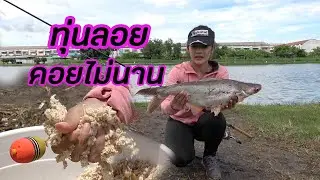 วิธีตกปลาสวายแบบทุ่นลอย แนะนำมือใหม่!!! สวายสายแข่ง