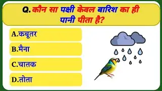 Most Important GK Questions 2025 | General Knowledge for All Exams | ARK GK VIDEO