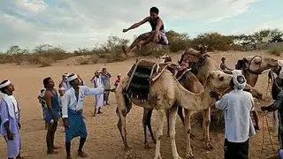 فعاليات مهرجان الحديدة الكرنفالي والشعبي في الخوخة احتفاء بأعياد الثورة