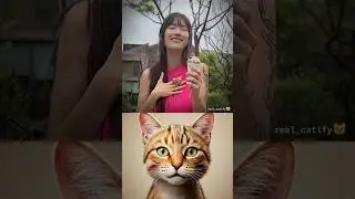 Sister got deleted 🌀 #cat #memes #dance #trending