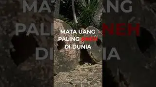 MATA UANG PALING ANEH DAN UNIK DI DUNIA!