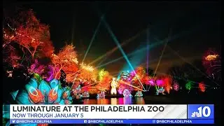 Philadelphia Zoo Revamped With Luminature Light Display | NBC10's Philly Live