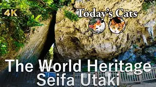 Seifa Utaki & Cat Island-Escursion of Paradise! | Exploring JAPAN