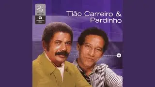 Navalha na carne