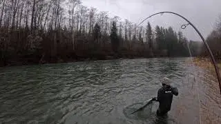 Winter Steelhead Smash Fest - Sol Duc River, Forks Washington