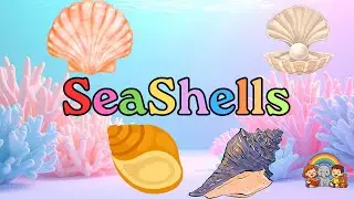 Seashell Coloring Page | 4 Beautiful Shells with Pencil Colors