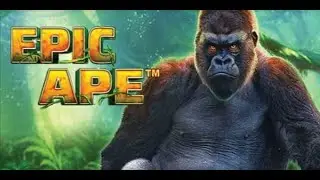 Epic Ape - Big Win  Playtech  Slot