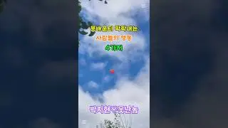 #박지현 #못난놈 #좋은글