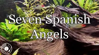 Seven Spanish Angels w/ lyrics - Ray Charles & Willie Nelson Version
