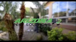Arizona Pest Solutions - Termite inspections Near Me - (Termite Inspections & treatment for Arizona)