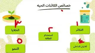 الباب الاول احياء اولى تمريض المنهج الجديد