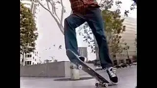 Jason Lee (Perfect Fakie 360 Flip) - 1994