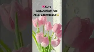 Cute Wallpaper For you✨️💜#shorts #wallpaper #cute #cutewallpaper #ideas #asthetic #viral #diy