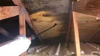 GMP Mold And Mildew Stain Remover