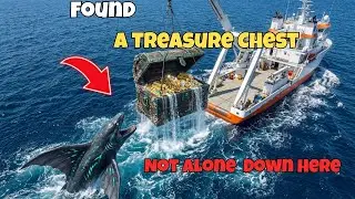 $520,000,000 Gold Treasure Chest Pulled From the Ocean With Sea Creature Encounter