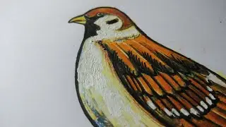How to draw Amazing Sparrow Bird easy with crayons and sketch pens