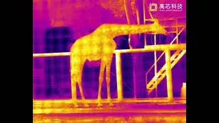 GST417M 400x300/17&mu;m Uncooled Thermal Imaging Sensor