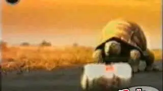 totist red bull and fast