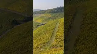 Goldener Oktober in Ockfener Bockstein