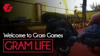 Welcome to Gram Games