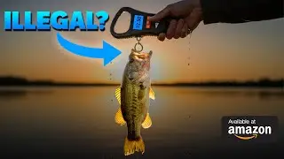 50 Genius Fishing Products On Amazon 2026