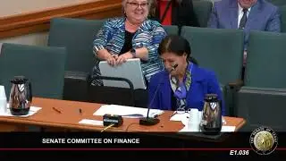 Texas State Library And Archives Commission Testifies At Senate Finance Committee