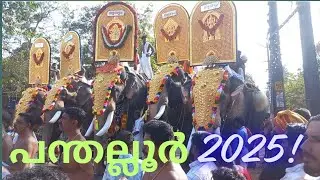 ഈ രാജകീയ വരവാണ് പന്തല്ലൂർ പൂരത്തിനെ വ്യത്യസ്തമാക്കുന്നത് പന്തല്ലൂർ പൂരം2025 panthalloor pooram 2025