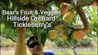 British Columbia Part 1- Keremeos and Oliver