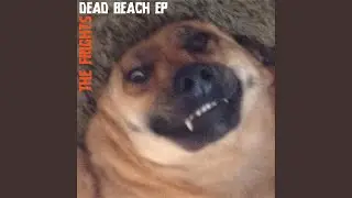 Beach Porn