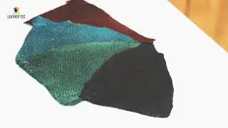 Curtimenta de peles de peixe