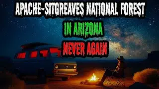 Apache-Sitgreaves National Forest in Arizona Never Again | RV Camping Horror Stories