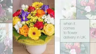 UK Next Day Flower Delivery